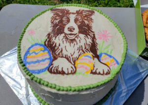 Spring Trial - Donna's cake