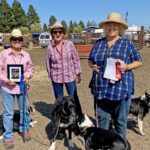 2025 Sonoma-Marin Fair
