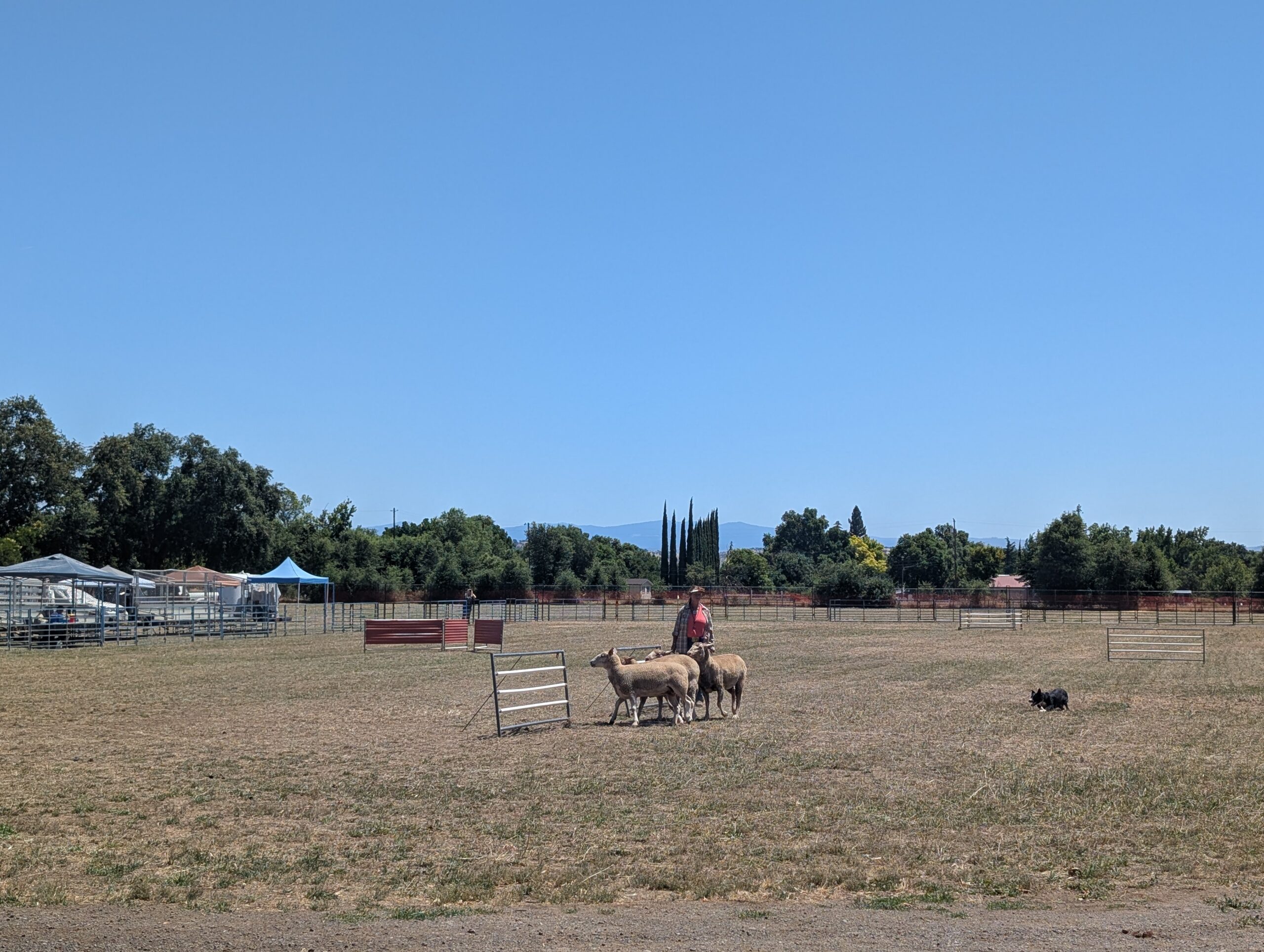 PXL_20260614_190959771