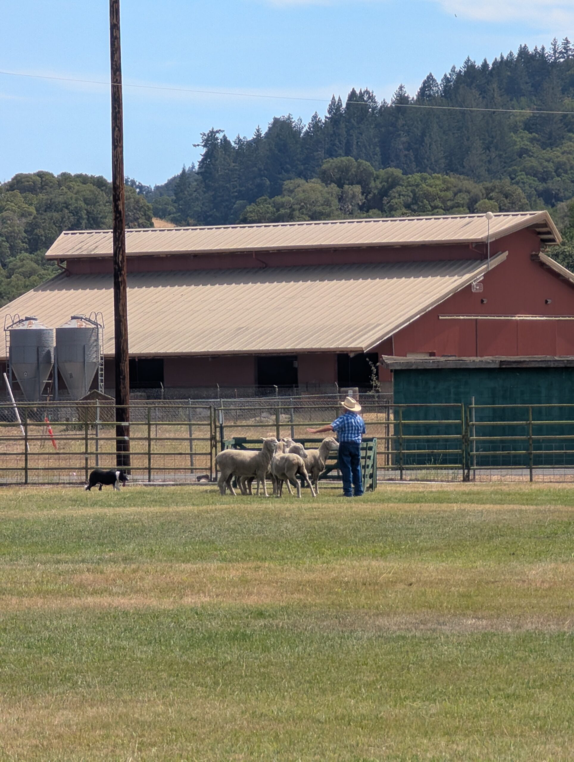 PXL_20260815_213715062
